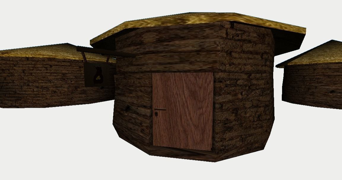 Primitive Rural Village with 13 Individual Shacks 3D model_20
