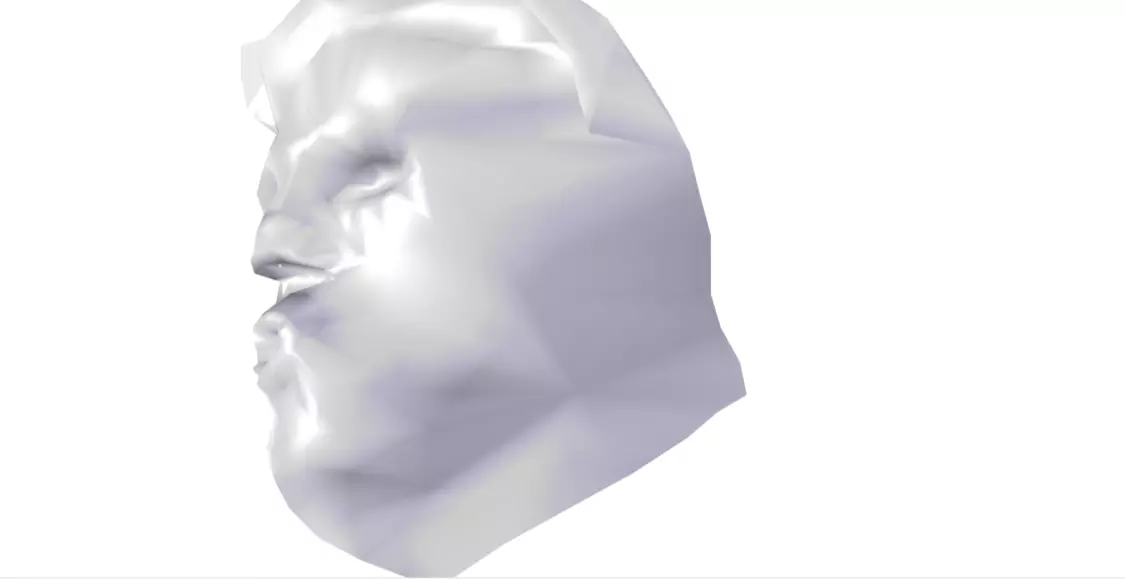 Donald J Trump Face Free 3D model