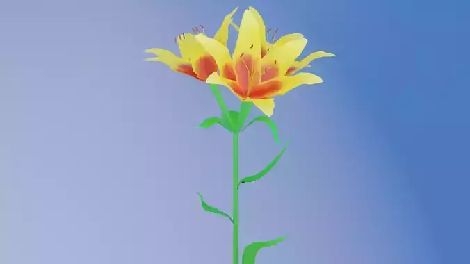Lily flower Free 3D model