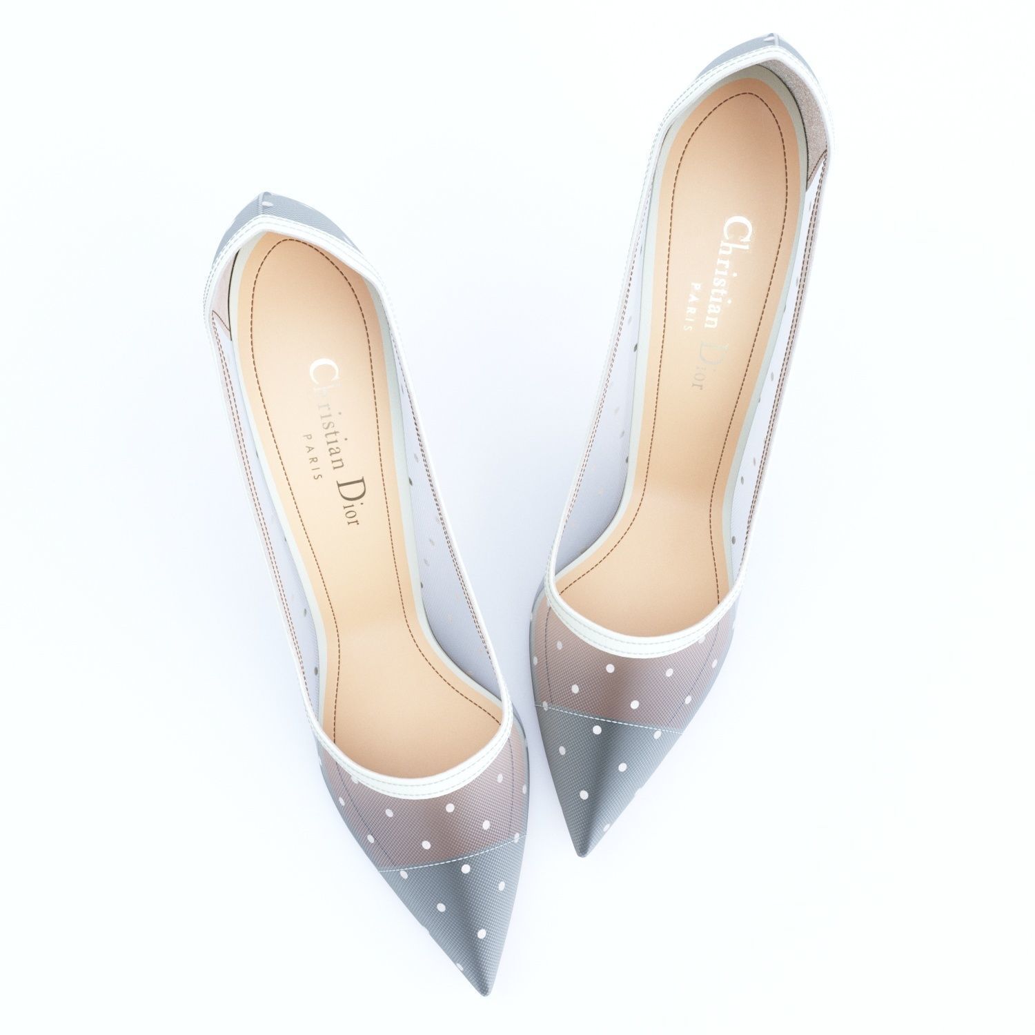 Dior D-Moi Tulle 105mm Pumps 3D model_13