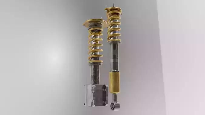 Suspension two shock absorbers