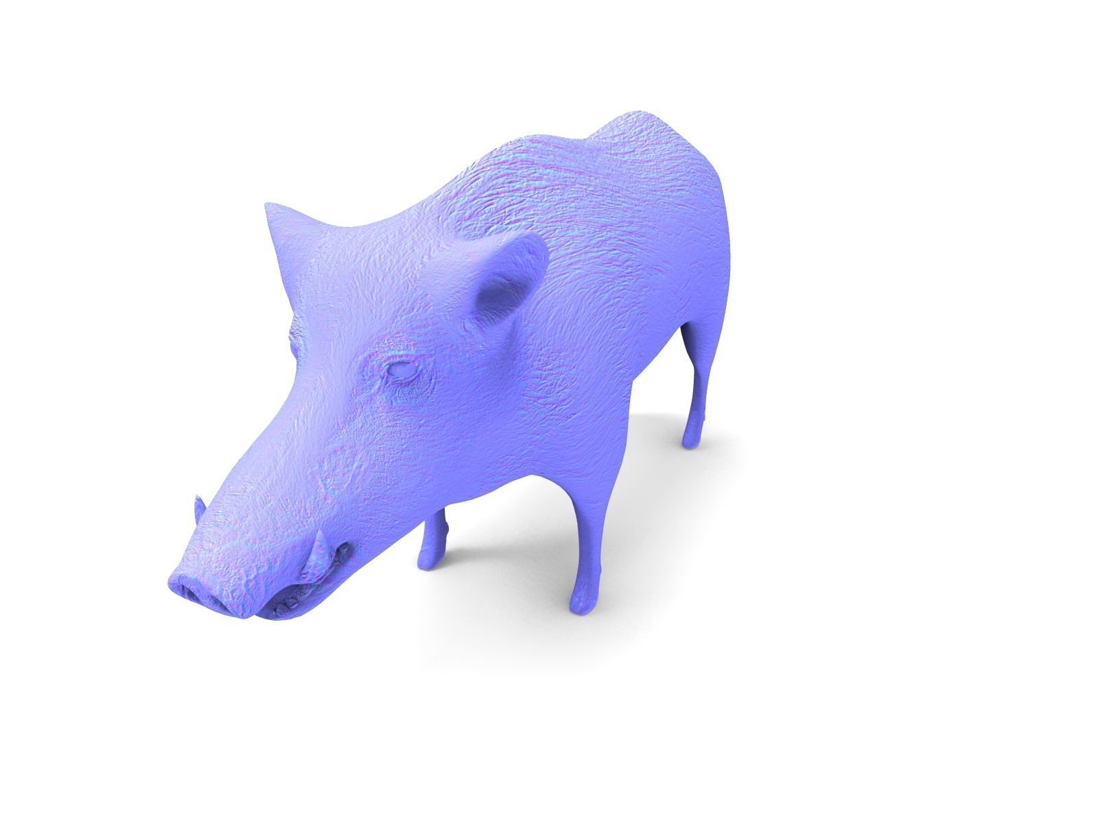 3D Wild Boar 3D Model Low-poly 3D model_20