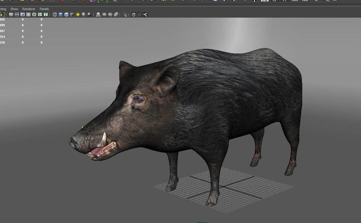 3D Wild Boar 3D Model Low-poly 3D model_17