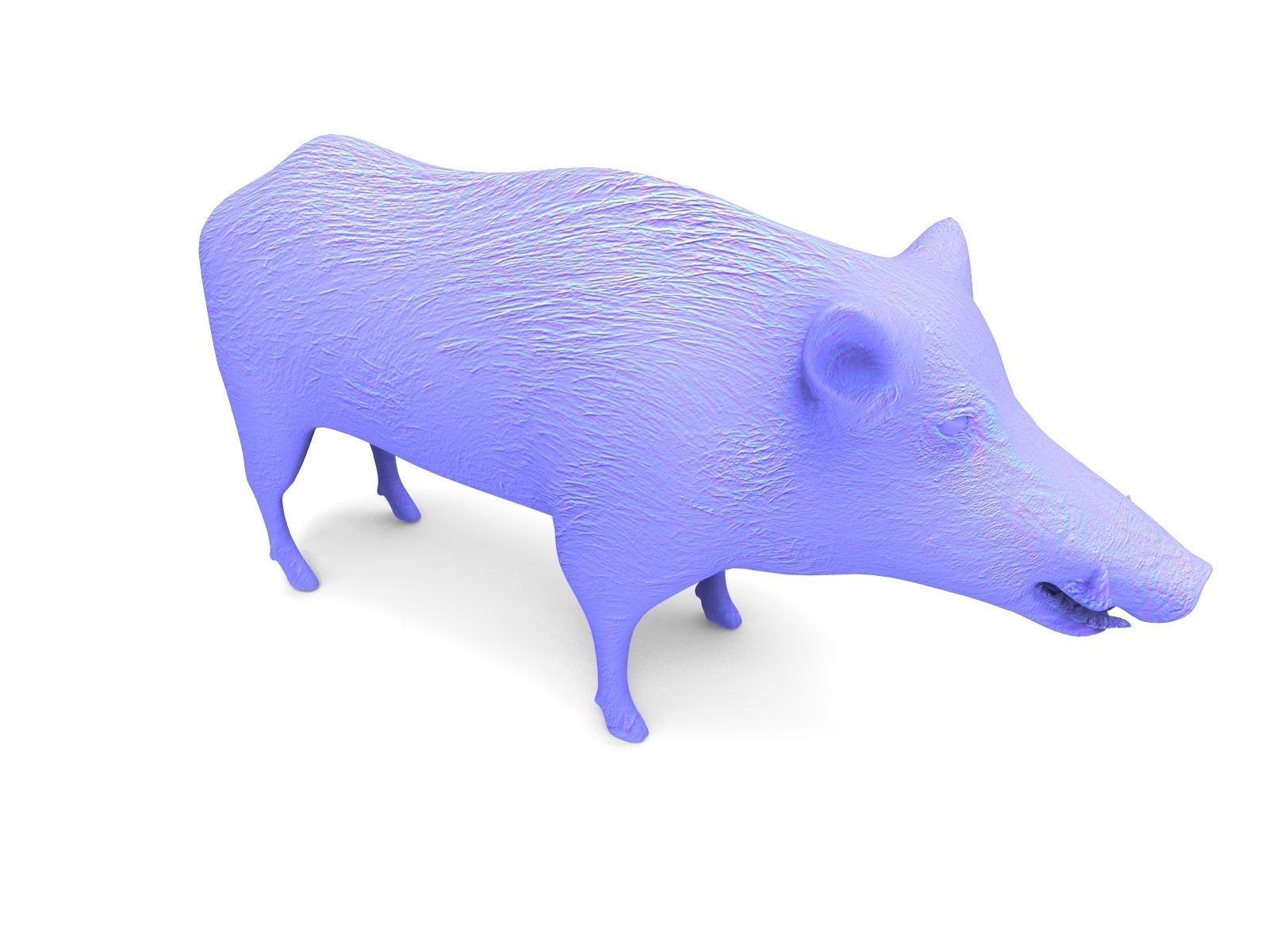 3D Wild Boar 3D Model Low-poly 3D model_18