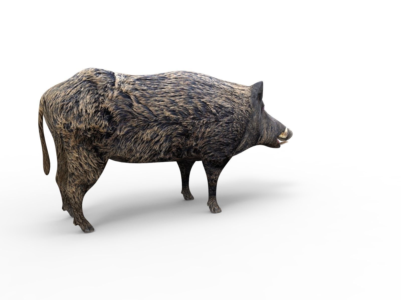 3D game ready Wild Boar Low-poly 3D model_12