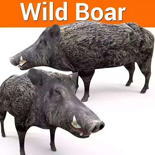 3D game ready Wild Boar Low-poly 3D model