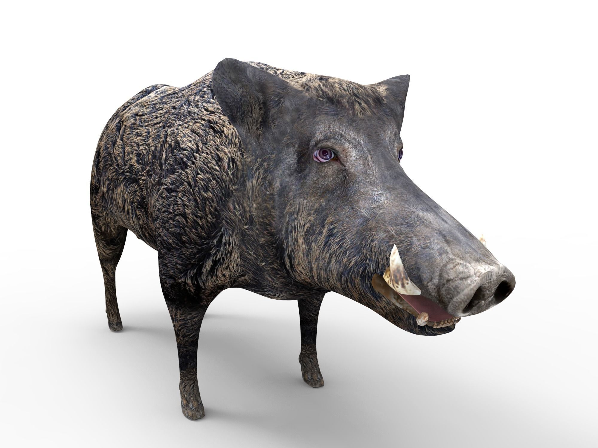 3D game ready Wild Boar Low-poly 3D model_6
