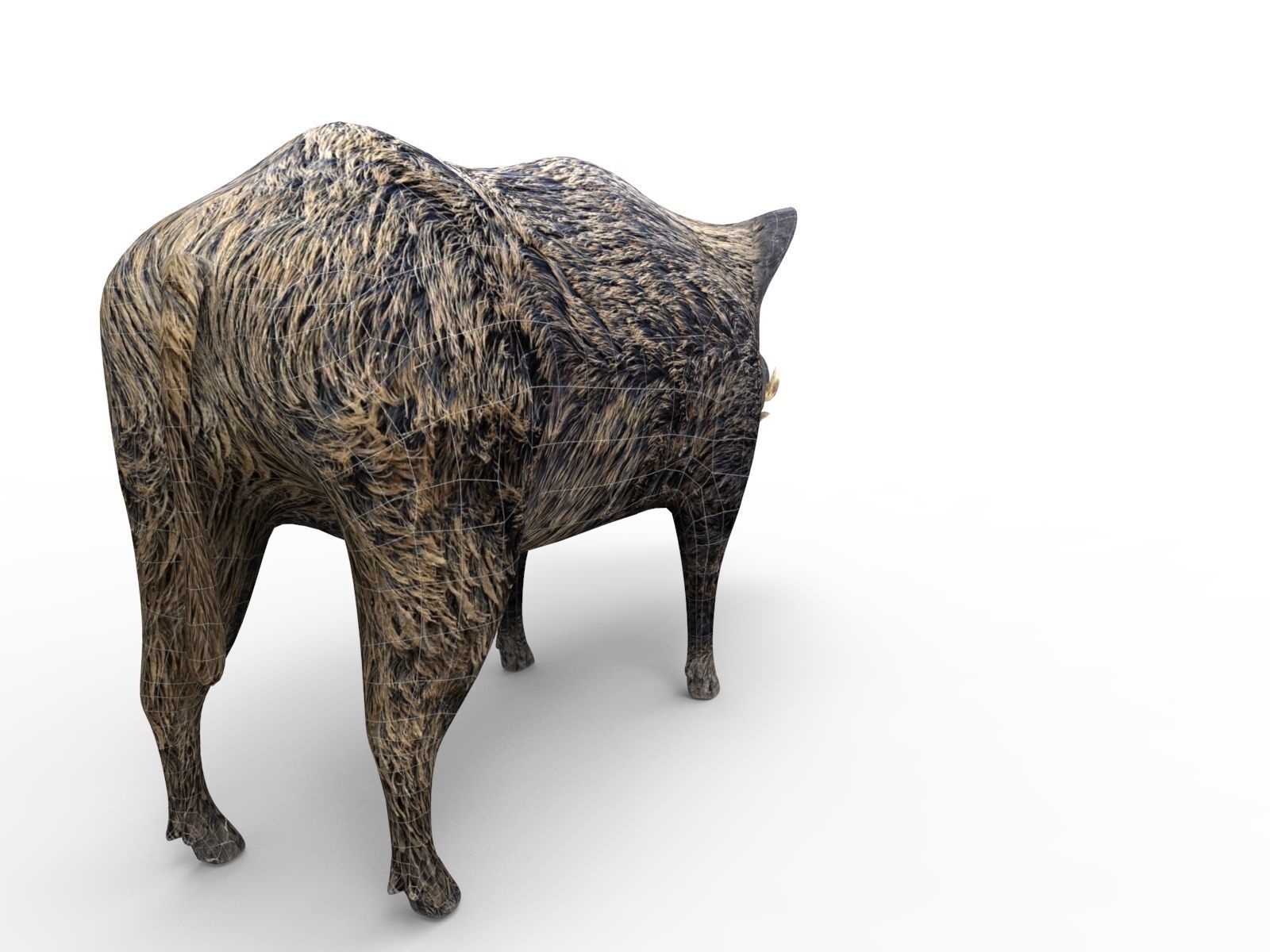 3D game ready Wild Boar Low-poly 3D model_15