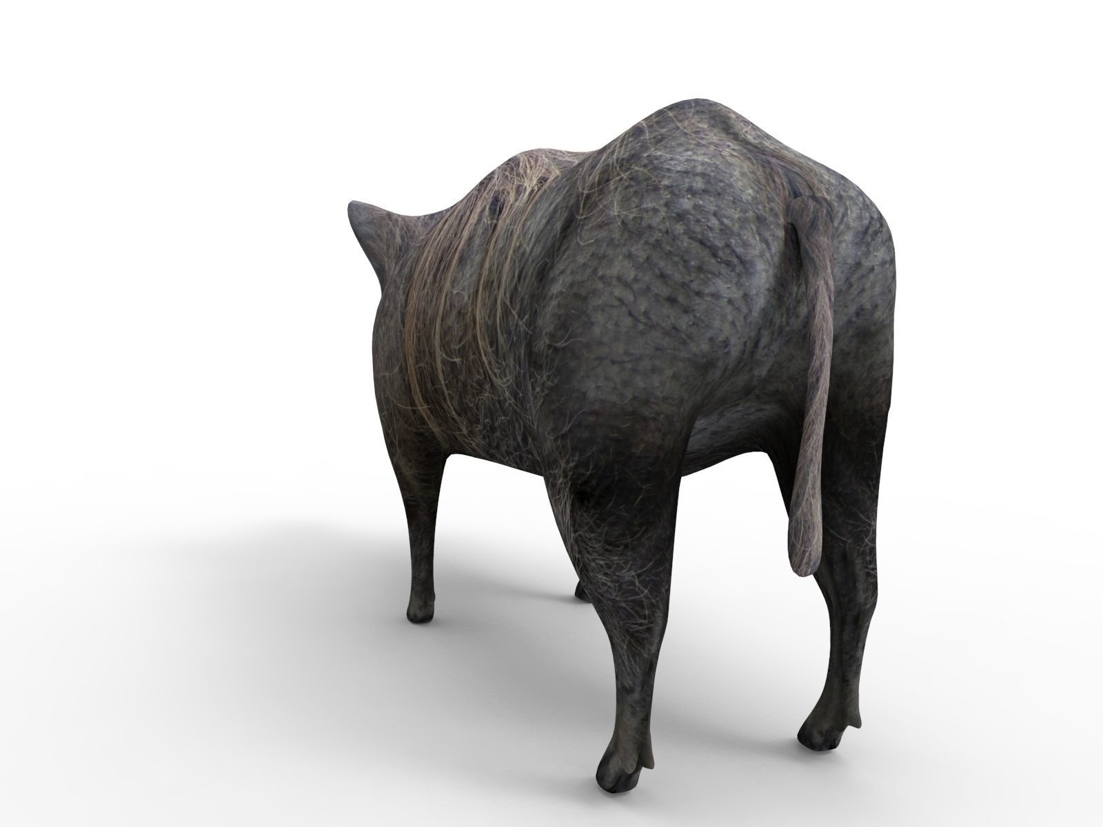 Wild Boar 3D Models game ready low poly model Low-poly 3D model_6