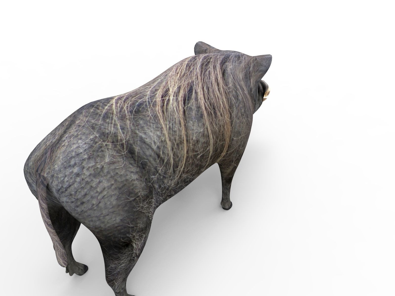 Wild Boar 3D Models game ready low poly model Low-poly 3D model_7