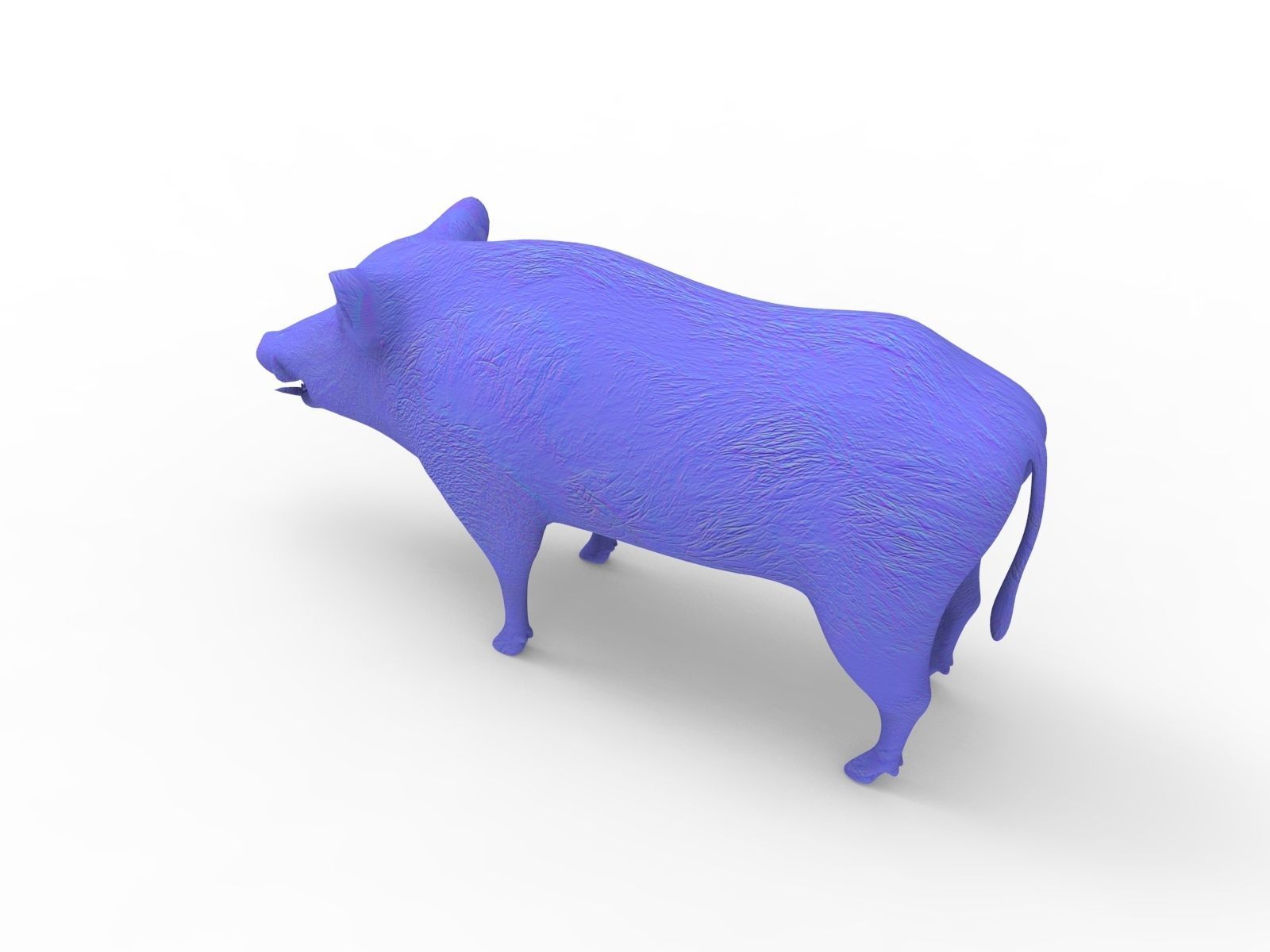 3d White Boar Model Low-poly 3D model_20