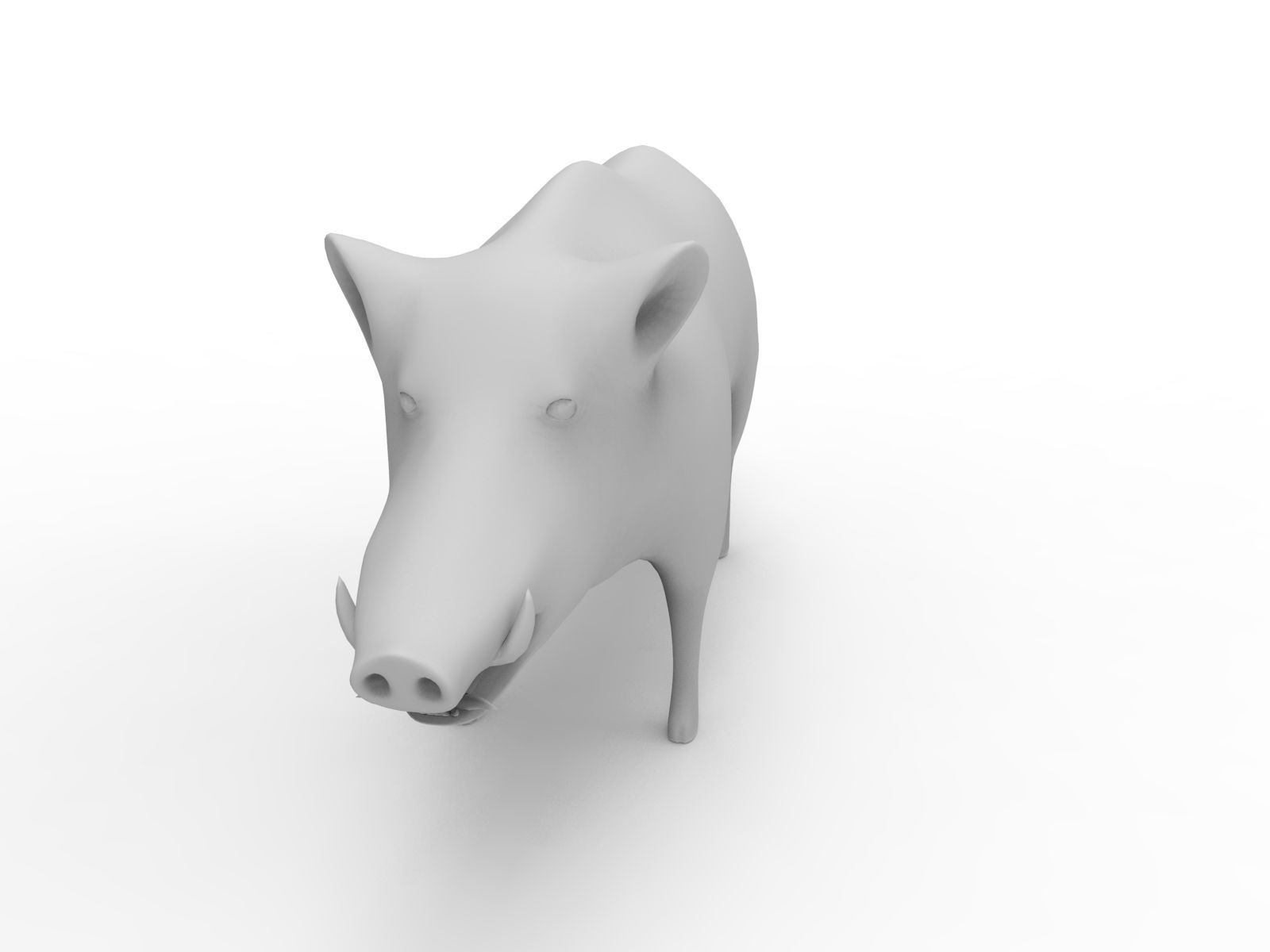 3d White Boar Model Low-poly 3D model_22