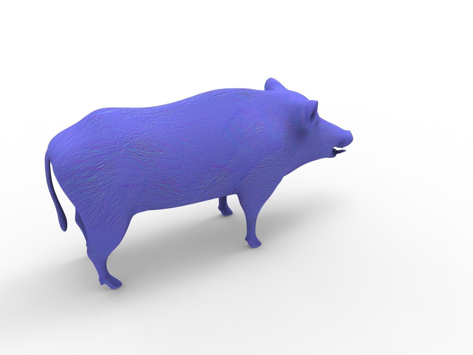 3d White Boar Model Low-poly 3D model_24