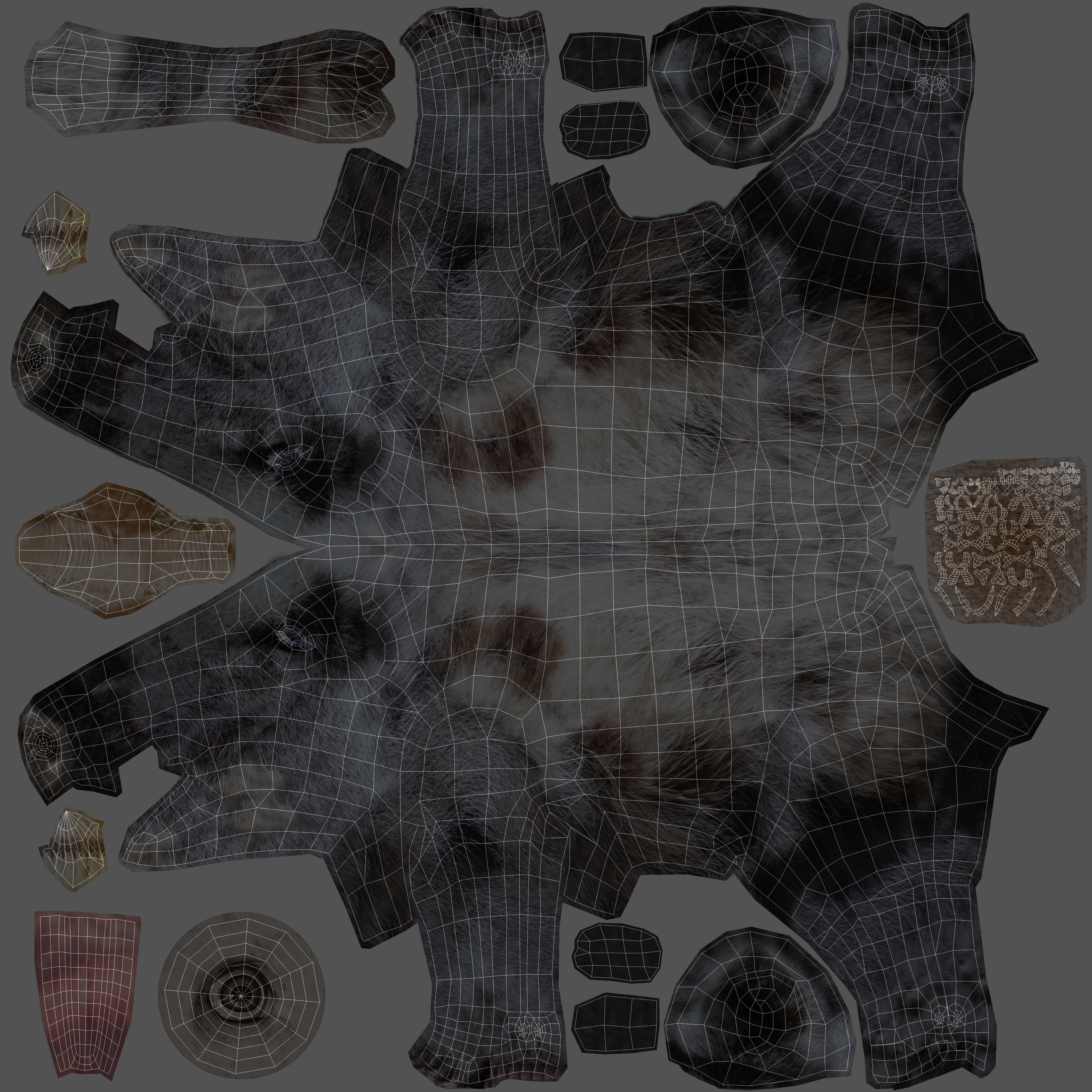 3d White Boar Model Low-poly 3D model_29