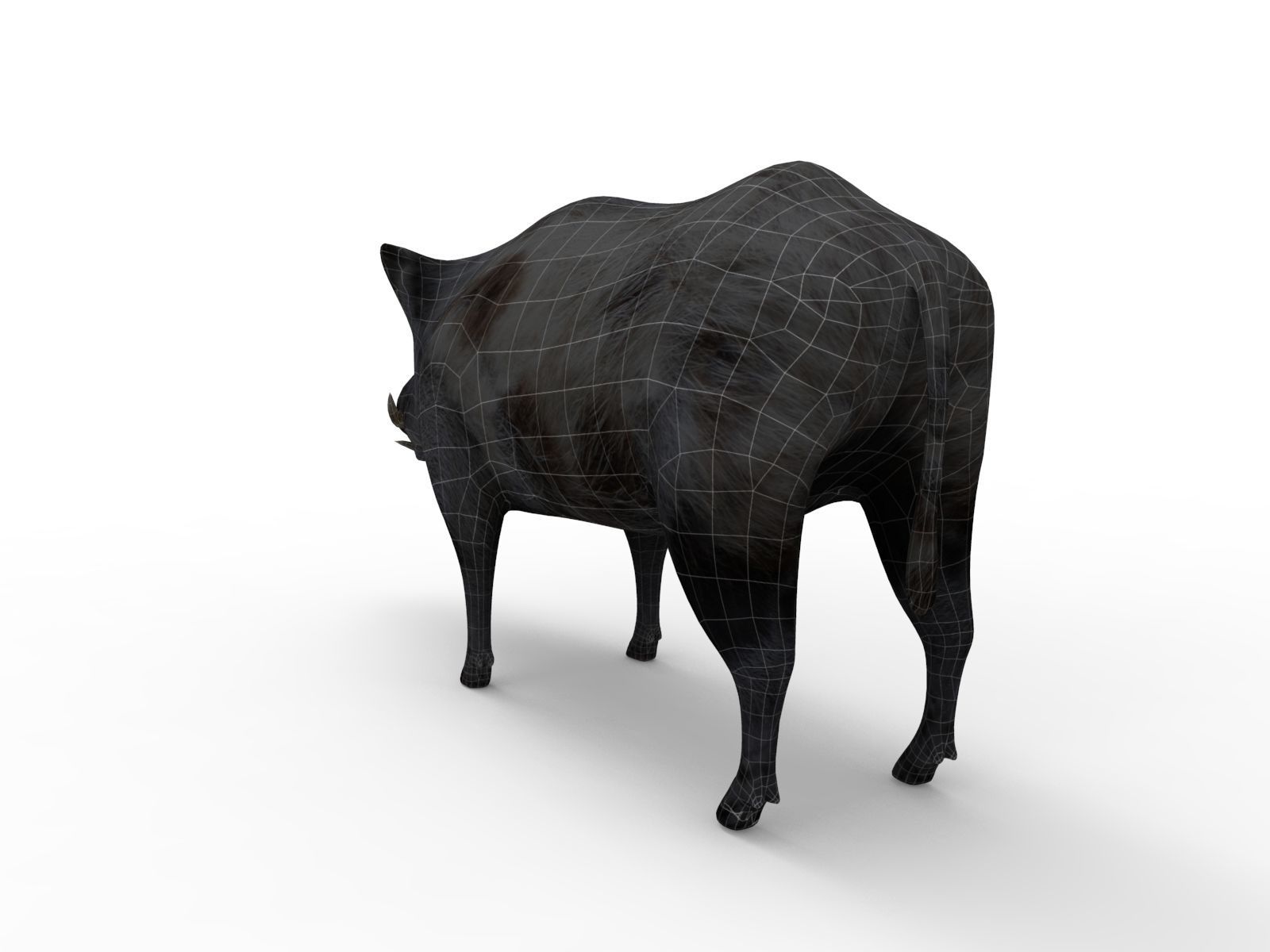 3d White Boar Model Low-poly 3D model_17