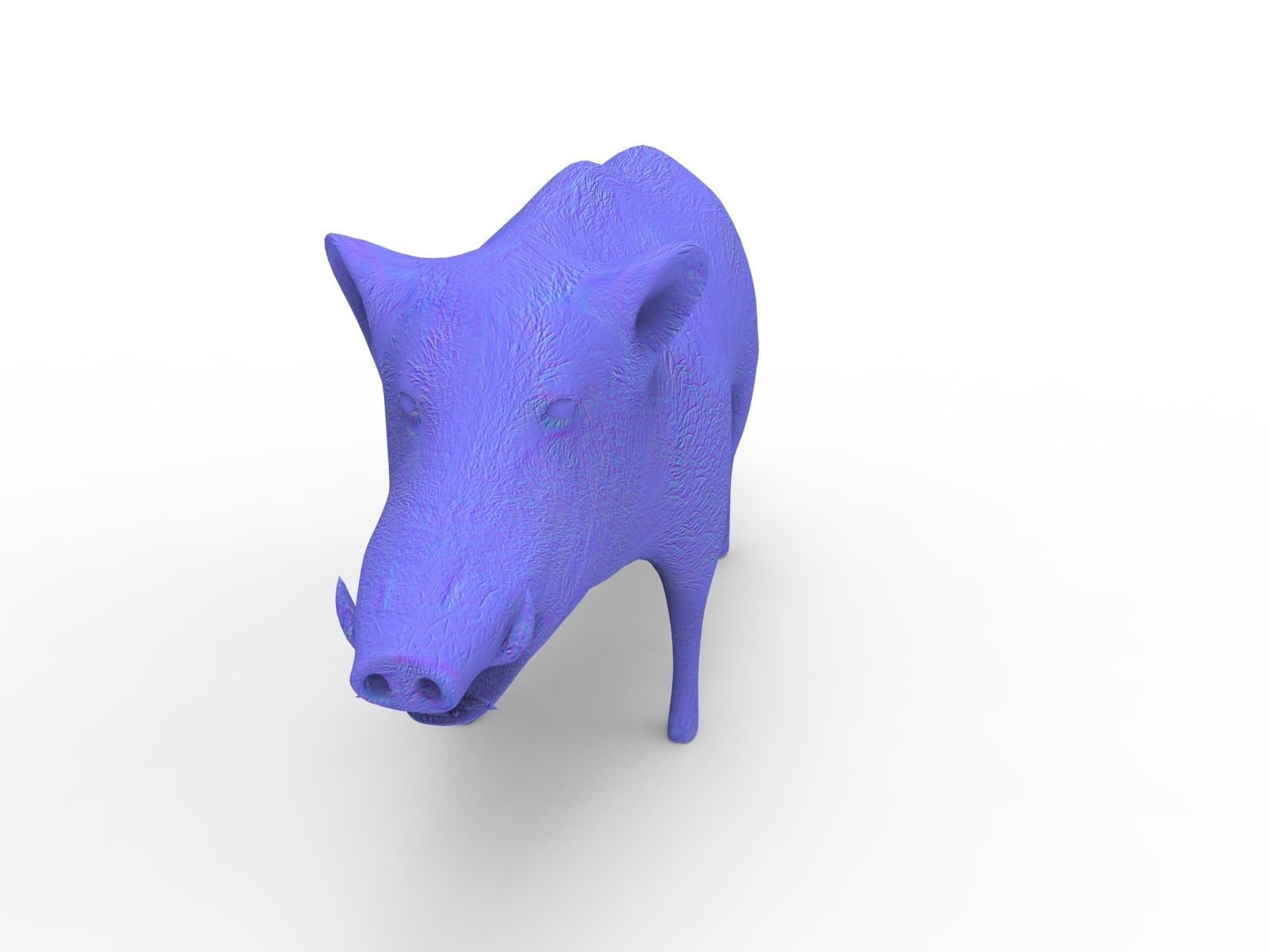 3d White Boar Model Low-poly 3D model_21