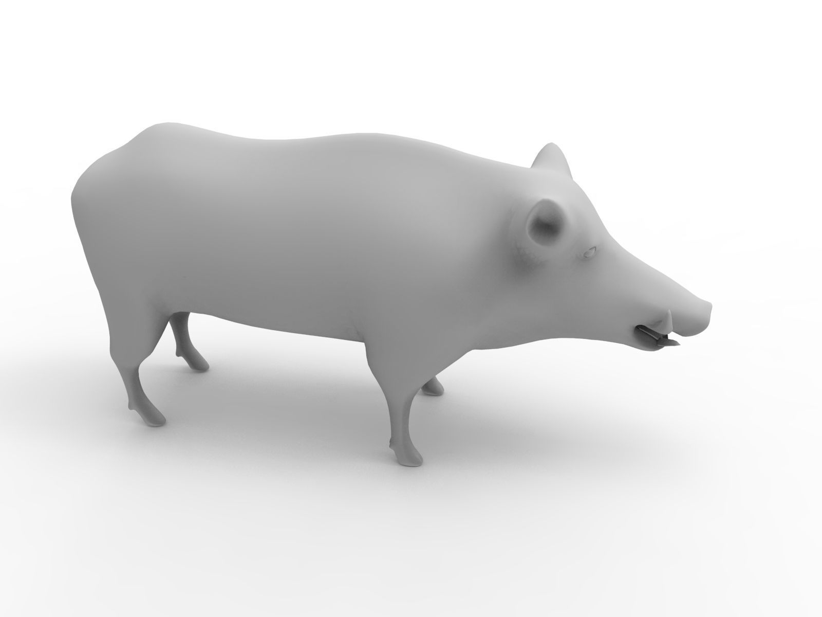3d White Boar Model Low-poly 3D model_25
