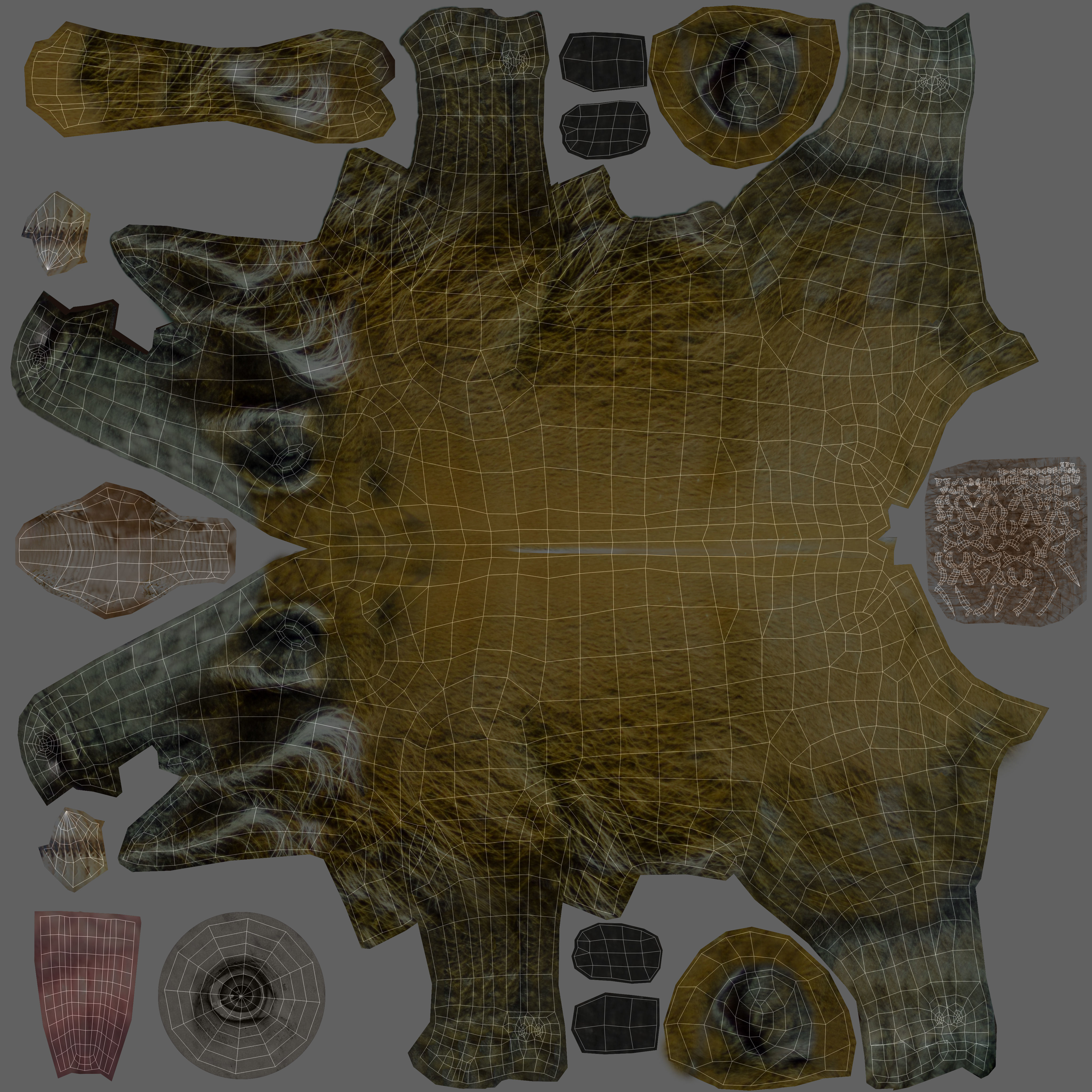 Wild Boar 3d Model Low-poly 3D model_18