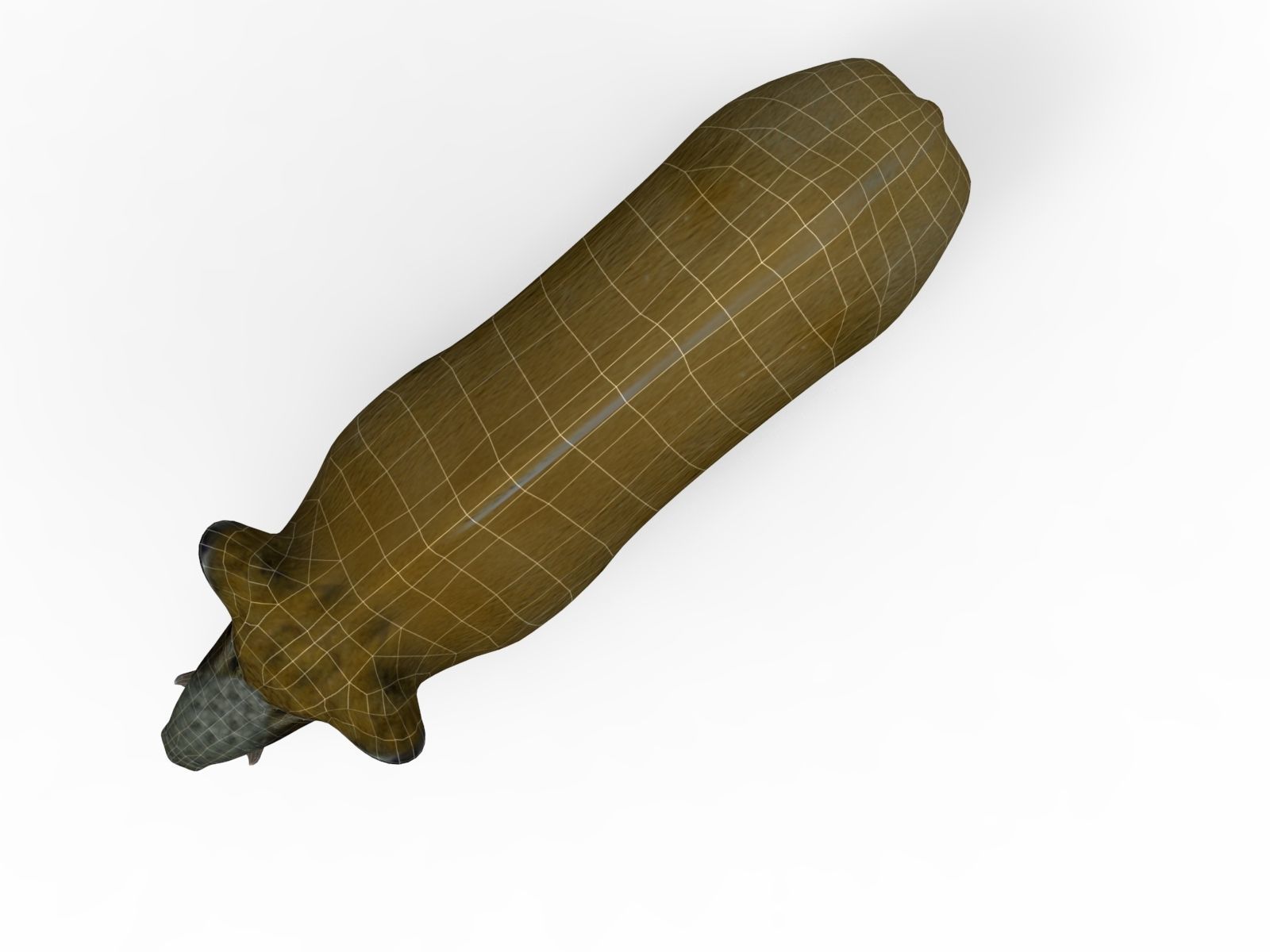 Wild Boar 3d Model Low-poly 3D model_10