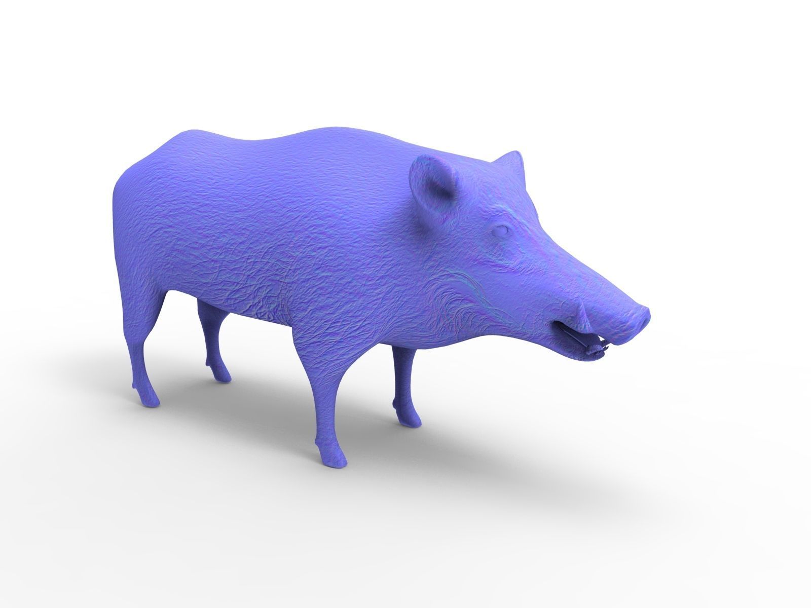 Wild Boar 3d Model Low-poly 3D model_14