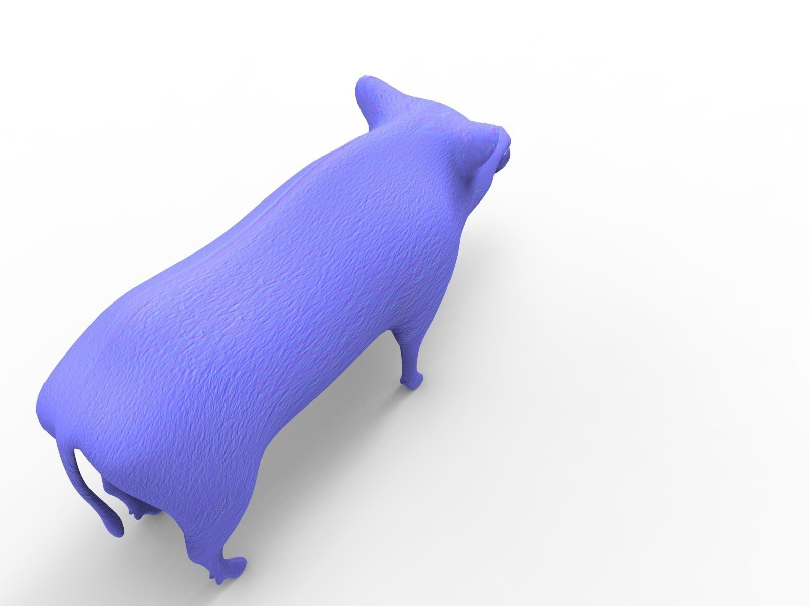 Wild Boar 3d Model Low-poly 3D model_12