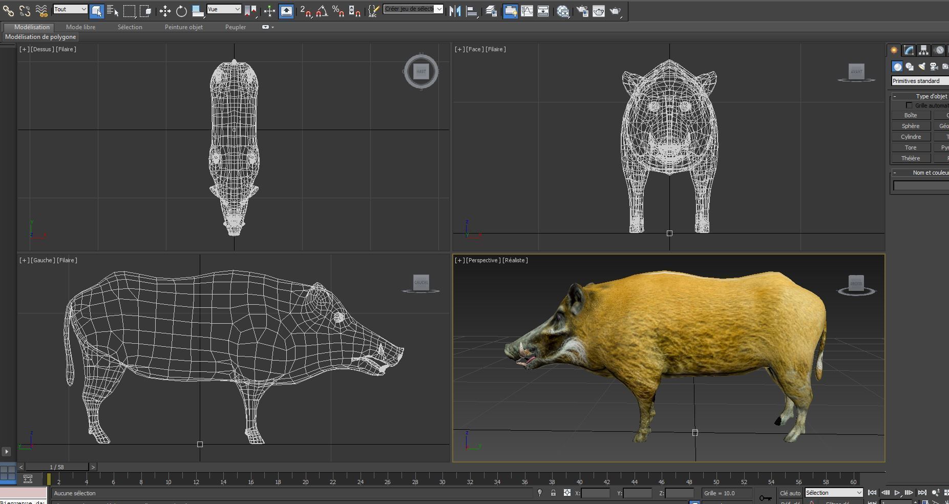 Wild Boar 3d Model Low-poly 3D model_16