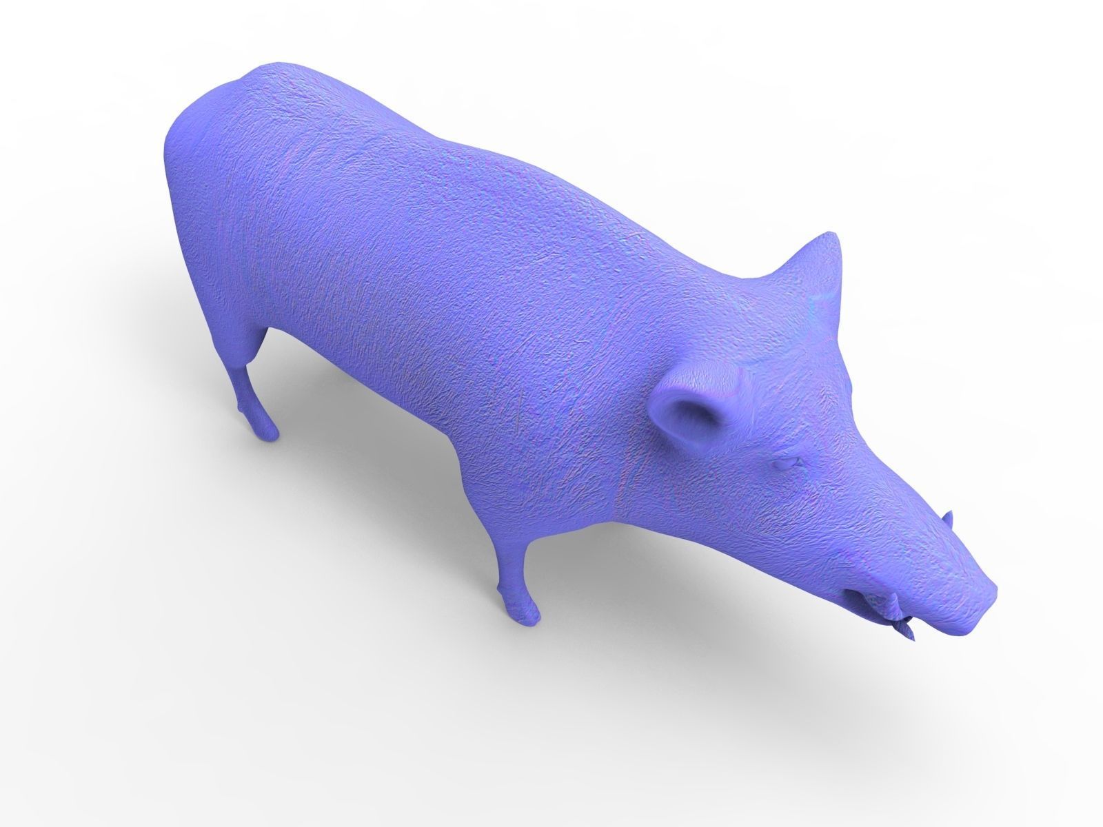 3D Wild Boar 3D Model Low-poly 3D model_11