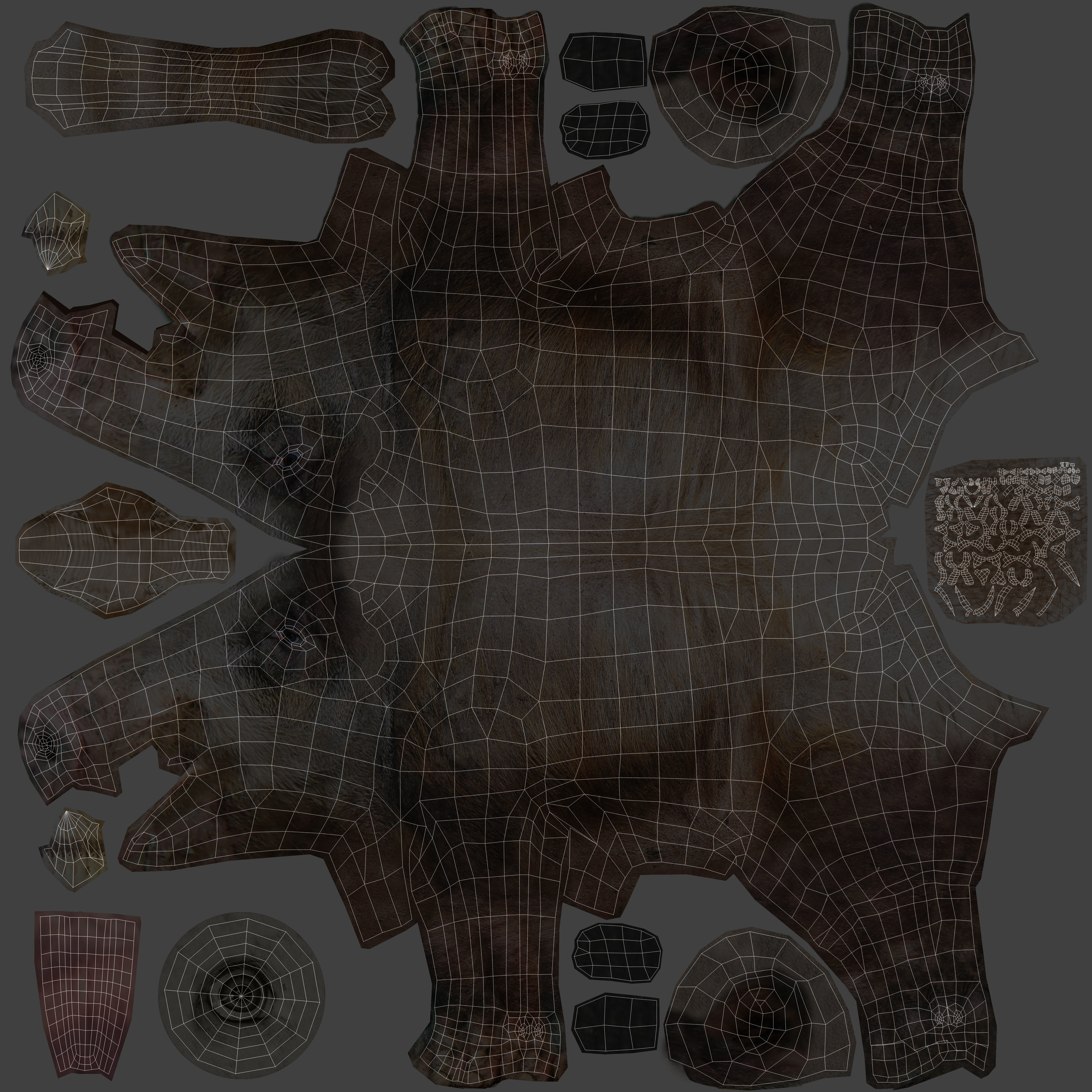 3D Wild Boar 3D Model Low-poly 3D model_16