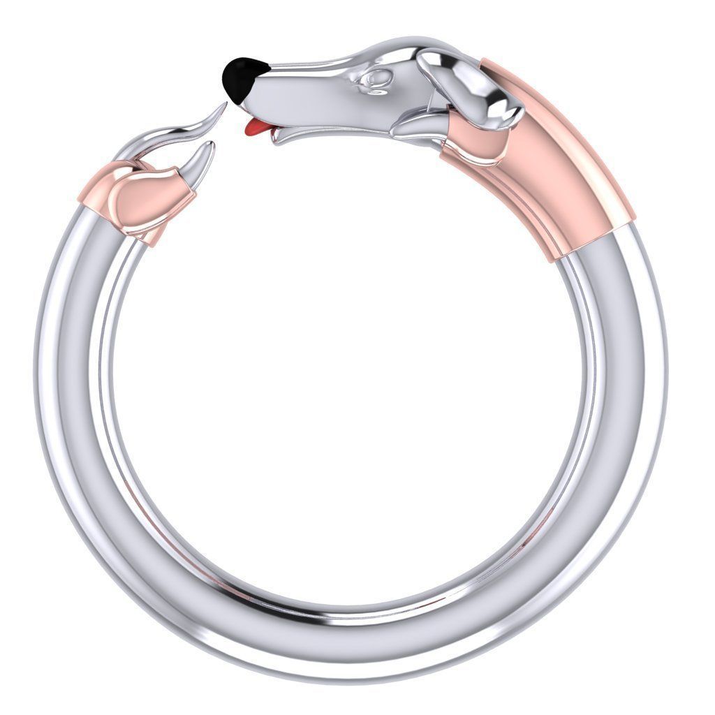 Ring dog 3D print model_2