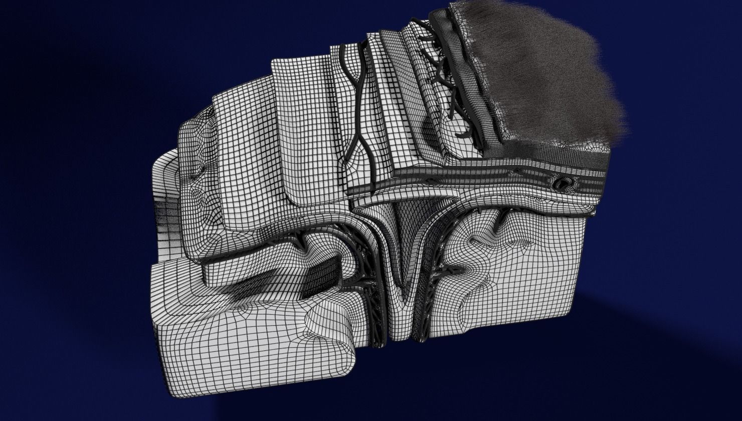 brain with meninges labelled detail 3D model_27