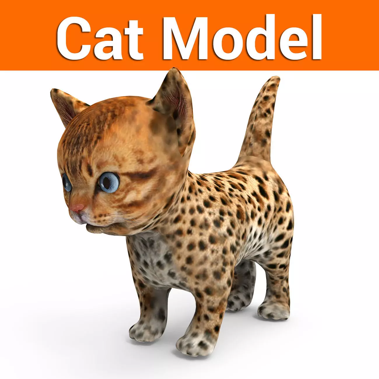 3D Forest cat Model  Low-poly 3D model_0