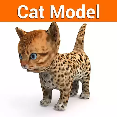3D Forest cat Model 