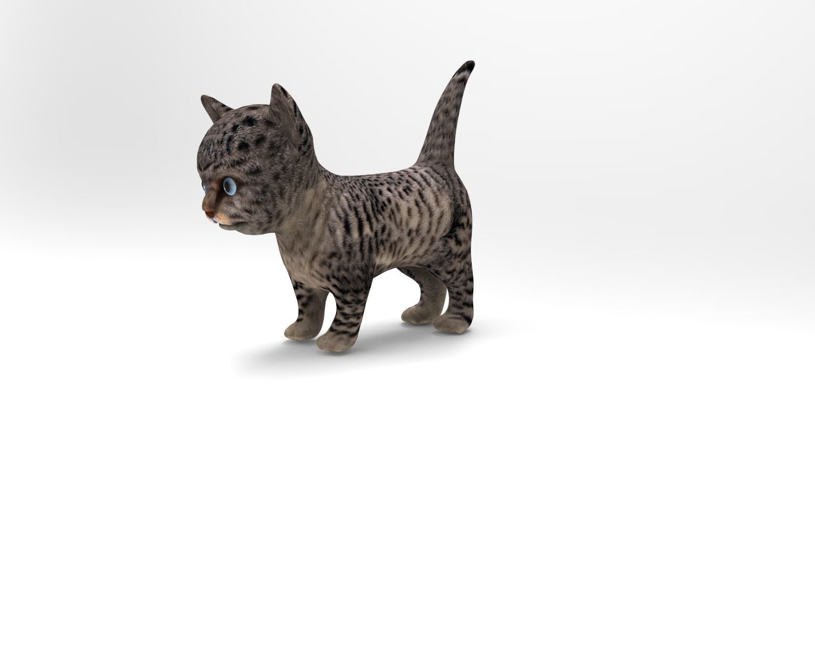 3D wild cat low poly  Low-poly 3D model_2