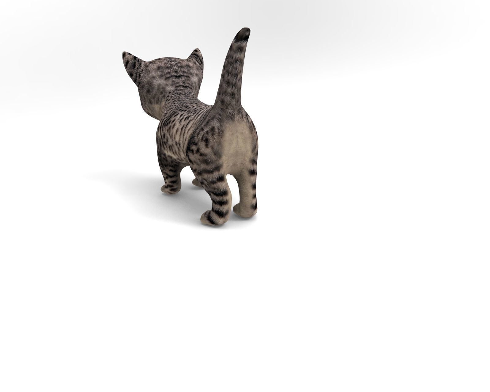 3D wild cat low poly  Low-poly 3D model_7