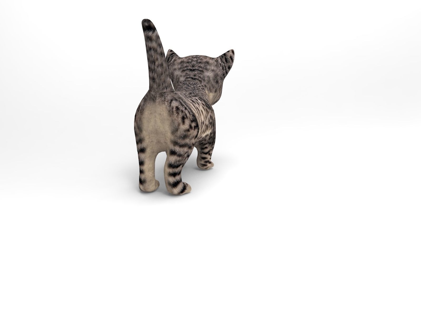 3D wild cat low poly  Low-poly 3D model_5