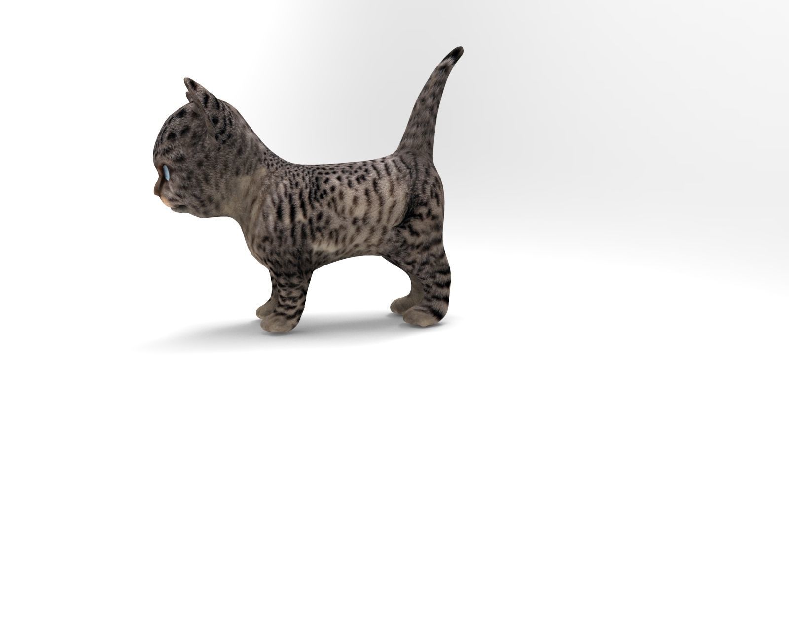 3D wild cat low poly  Low-poly 3D model_8