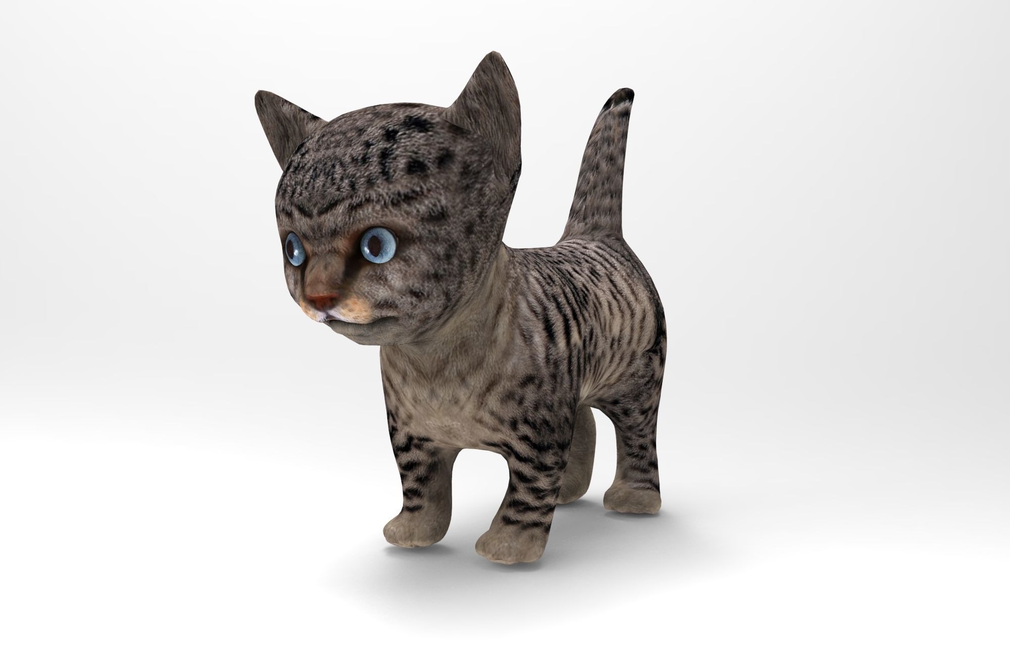 3D wild cat low poly  Low-poly 3D model_1