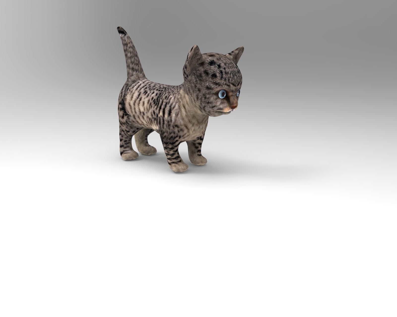 3D wild cat low poly  Low-poly 3D model_3