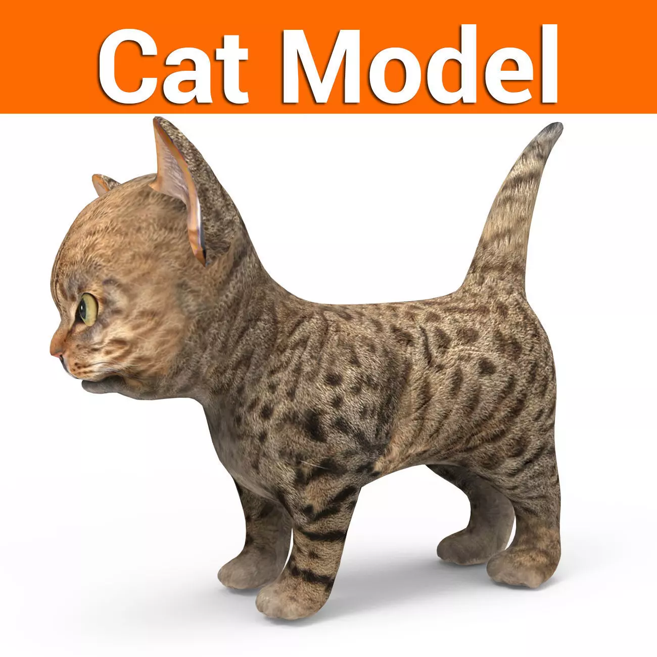 3D Tamed Cute Cat  Low-poly 3D model_0