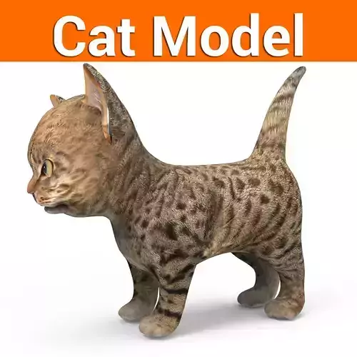 3D Tamed Cute Cat  Low-poly 3D model