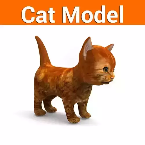 3D Pet Cat Model 
