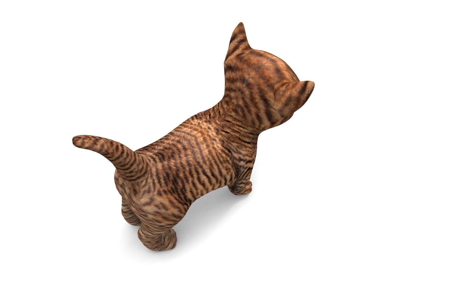 3D Cat low poly pet  Low-poly 3D model_6