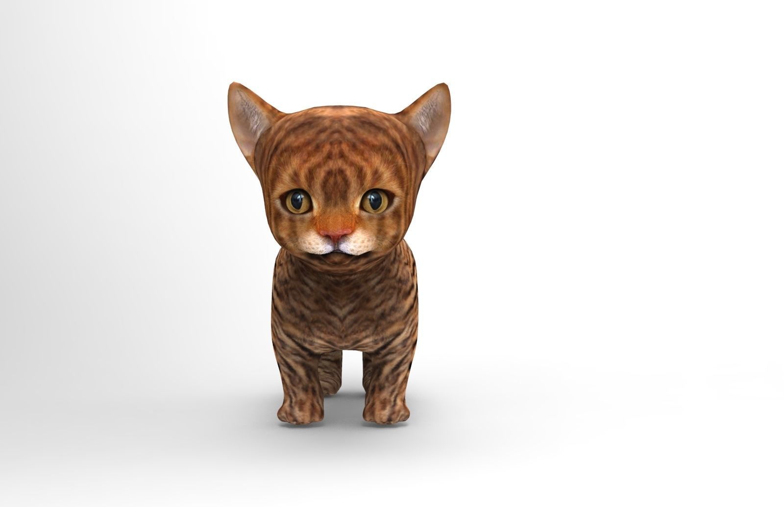3D Cat low poly pet  Low-poly 3D model_8