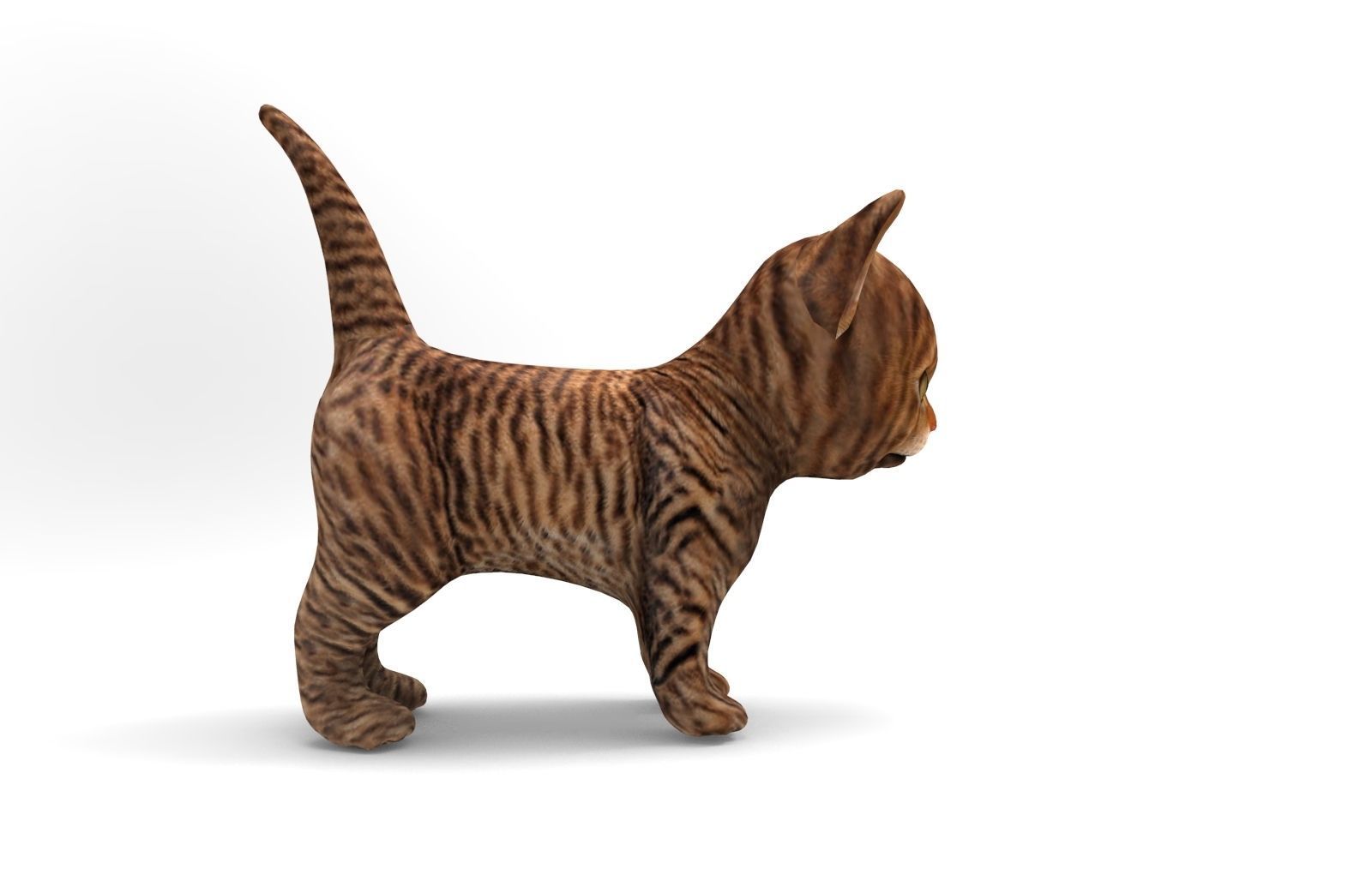 3D Cat low poly pet  Low-poly 3D model_5
