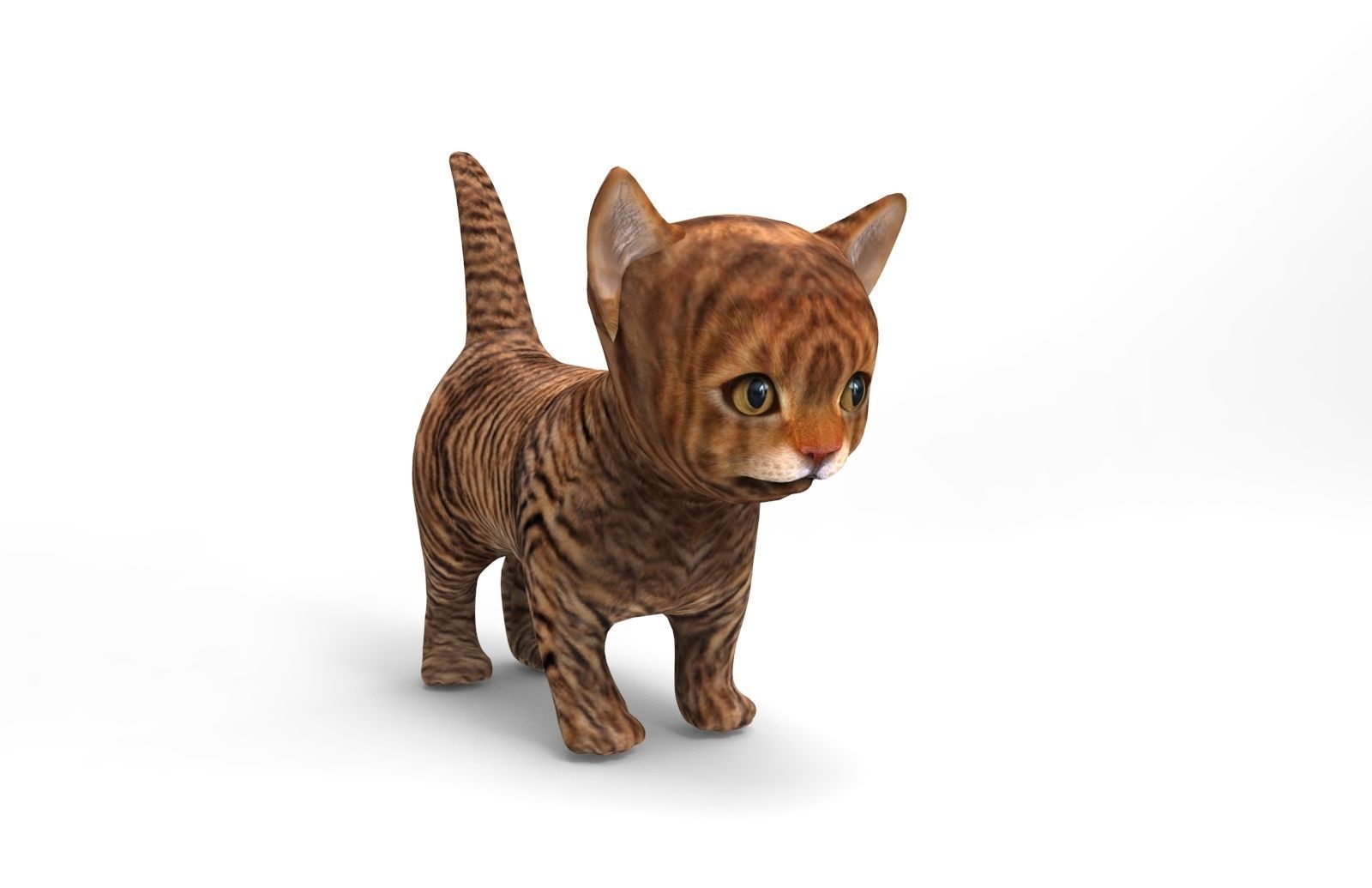 3D Cat low poly pet  Low-poly 3D model_7