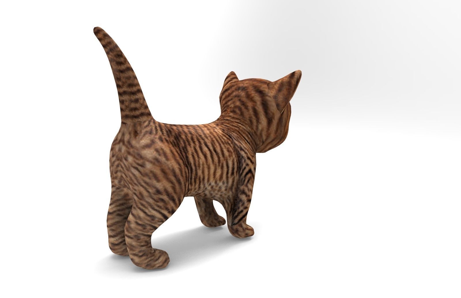 3D Cat low poly pet  Low-poly 3D model_3