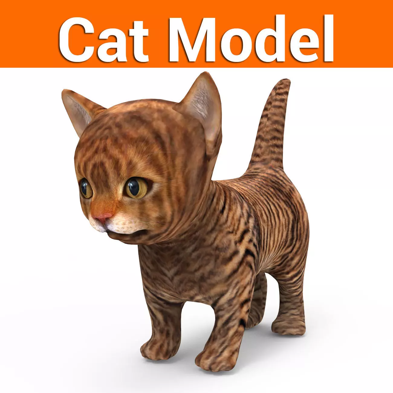 3D Cat low poly pet  Low-poly 3D model_0