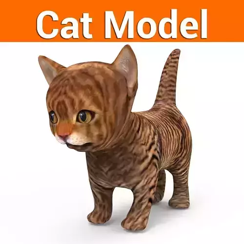 3D Cat low poly pet 