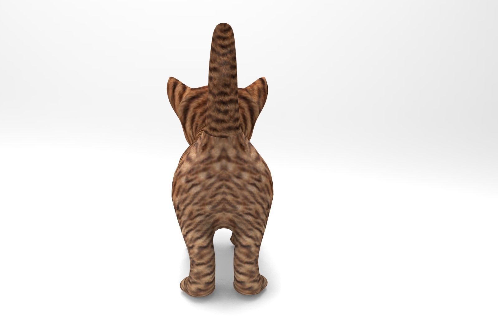 3D Cat low poly pet  Low-poly 3D model_4