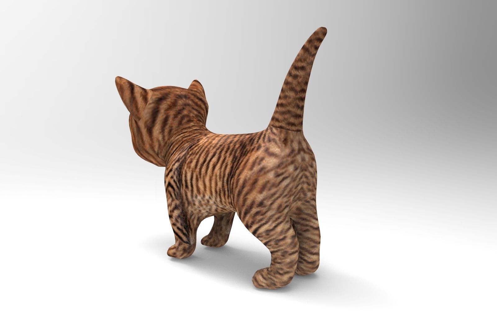 3D Cat low poly pet  Low-poly 3D model_2
